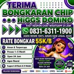 thumbnail-terima-bongkar-chip-hdi-higgs-domino-island-jual-beli-chip-hdi-wa-083163111900-0