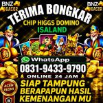 thumbnail-khusus-terima-bongkar-chip-domino-island-higgs-buka-24jam-wa0831-9433-9790-0