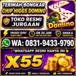 thumbnail-terima-bongkar-chip-hdi-higgs-domino-island-jual-beli-chip-hdi-wa-083194339790-0