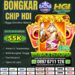 thumbnail-terima-bongkar-chip-higgs-domino-island-agen-buka-24jam-wa-897-6711-126-2
