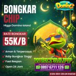 thumbnail-terima-bongkar-chip-higgs-domino-island-agen-buka-24jam-wa-897-6711-126-3