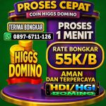 thumbnail-terima-bongkar-chip-higgs-domino-island-agen-buka-24jam-wa-897-6711-126-7