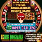thumbnail-toko-terima-bongkar-chip-higgs-domino-island-agen-buka-24jam-4