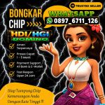 thumbnail-toko-terima-bongkar-chip-higgs-domino-island-agen-buka-24jam-14