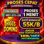 thumbnail-toko-terima-bongkar-chip-higgs-domino-island-agen-buka-24jam-12