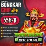 thumbnail-toko-terima-bongkar-chip-higgs-domino-island-agen-buka-24jam-6