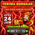thumbnail-toko-terima-bongkar-chip-higgs-domino-island-agen-buka-24jam-10
