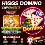 thumbnail-toko-terima-bongkar-chip-higgs-domino-island-agen-buka-24jam-9