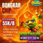 thumbnail-toko-terima-bongkar-chip-higgs-domino-island-agen-buka-24jam-11