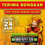 thumbnail-toko-terima-bongkar-chip-higgs-domino-island-agen-buka-24jam-7