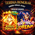 thumbnail-terima-bongkar-chip-hdi-higgs-domino-island-rd-open-24-jam-wa-0858-0562-3137-0