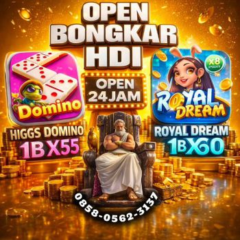 TERIMA BONGKAR CHIP HDI HIGGS DOMINO ISLAND & RD OPEN 24 JAM WA.0858.0562.3137