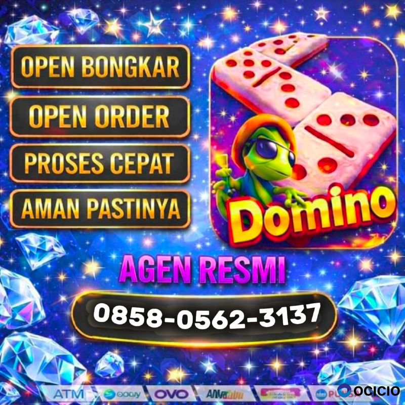 TERIMA BONGKAR CHIP HDI HIGGS DOMINO ISLAND & RD OPEN 24 JAM WA 0858/0562/3137💯💯