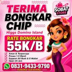thumbnail-khusus-terima-bongkar-chip-domino-island-higgs-buka-24jam-wa0831-9433-9790-0