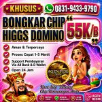 thumbnail-terima-bongkar-chip-hdi-higgs-domino-island-jual-beli-chip-hdi-wa-083194339790-0