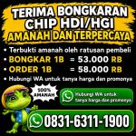 thumbnail-terima-bongkar-chip-hdi-higgs-domino-island-aman-dan-terpercaya-wa-083163111900-0