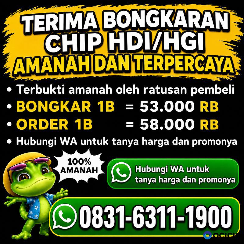Terima Bongkar Chip Hdi Higgs Domino Island Aman Dan Terpercaya Wa 083163111900