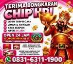 thumbnail-khusus-terima-bongkar-chip-domino-island-higgs-buka-24jam-wa0831-6311-1900-0