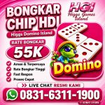 thumbnail-terima-bongkar-chip-hdi-higgs-domino-island-jual-beli-chip-hdi-wa-083163111900-0