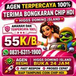 thumbnail-terima-bongkar-chip-hdi-higgs-domino-island-dan-royal-dream-wa-0831-6311-1900-0