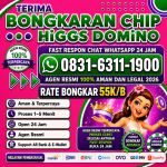 thumbnail-khusus-terima-bongkar-chip-domino-island-higgs-buka-24jam-wa0831-6311-1900-0