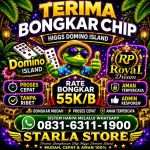 thumbnail-terima-bongkar-chip-hdi-higgs-domino-island-dan-royal-dream-wa-0831-6311-1900-0