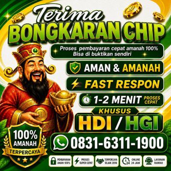 TERIMA BONGKAR CHIP HDI HIGGS DOMINO ISLAND JUAL BELI CHIP HDI WA 083163111900