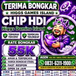 thumbnail-khusus-terima-bongkar-chip-domino-island-higgs-buka-24jam-wa0831-6311-1900-0