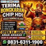 thumbnail-khusus-terima-bongkar-chip-domino-island-higgs-buka-24jam-wa0831-6311-1900-0