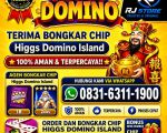 thumbnail-terima-bongkar-chip-hdi-higgs-domino-island-jual-beli-chip-hdi-wa-083163111900-0