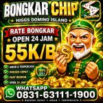 thumbnail-khusus-terima-bongkar-chip-domino-island-higgs-buka-24jam-wa0831-6311-1900-0