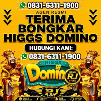 TERIMA BONGKAR CHIP HDI HIGGS DOMINO ISLAND DAN ROYAL DREAM WA 0831-6311-1900