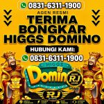 thumbnail-khusus-terima-bongkar-chip-domino-island-higgs-buka-24jam-wa0831-6311-1900-0