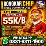 thumbnail-khusus-terima-bongkar-chip-domino-island-higgs-buka-24jam-wa0831-6311-1900-0