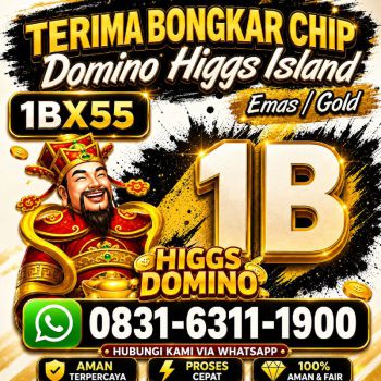 TERIMA BONGKAR CHIP HDI HIGGS DOMINO ISLAND JUAL BELI CHIP HDI WA 083163111900