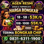 thumbnail-terima-bongkar-chip-hdi-higgs-domino-island-dan-royal-dream-wa-0831-6311-1900-0