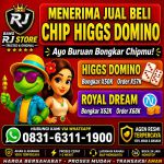 thumbnail-khusus-terima-bongkar-chip-domino-island-higgs-buka-24jam-wa083163111900-0