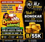 thumbnail-terima-bongkar-chip-hdi-higgs-domino-island-aman-dan-terpercaya-wa-083163111900-0