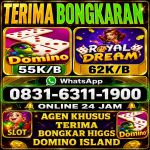 thumbnail-terima-bongkar-chip-hdi-higgs-domino-island-aman-dan-terpercaya-wa-083163111900-0