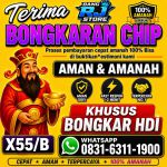 thumbnail-terima-bongkar-chip-hdi-higgs-domino-island-jual-beli-chip-hdi-wa-083163111900-0