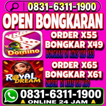 TERIMA BONGKAR CHIP HDI HIGGS DOMINO ISLAND DAN ROYAL DREAM WA 0831-6311-1900