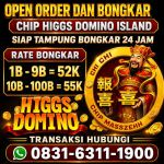 thumbnail-khusus-terima-bongkar-chip-domino-island-higgs-buka-24jam-wa0831-6311-1900-0
