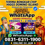 thumbnail-khusus-terima-bongkar-chip-domino-island-higgs-buka-24jam-wa0831-6311-1900-0