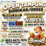 thumbnail-agen-resmi-terima-bongkar-higgs-domino-island-games-terpercaya-0