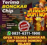 thumbnail-terima-bongkar-chip-hdi-higgs-domino-island-x55k-selalu-buka-24-jam-0