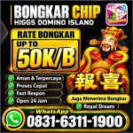 thumbnail-khusus-terima-bongkar-chip-domino-island-higgs-buka-24jam-wa0831-6311-1900-0