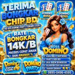 thumbnail-chip-boss-domino-party-agen-real-khusus-bongkar-0