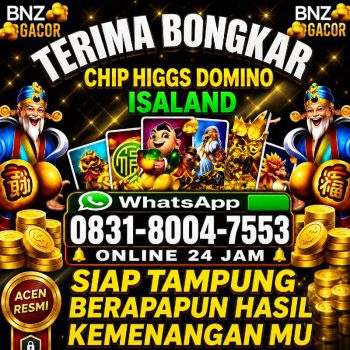 TERIMA BONGKAR CHIP HDI HIGGS DOMINO ISLAND DAN ROYAL DREAM WA 0831-8004-7553