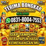 thumbnail-khusus-terima-bongkar-chip-domino-island-higgs-buka-24jam-wa0831-8004-7553-0