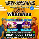 thumbnail-khusus-terima-bongkar-chip-domino-island-higgs-buka-24jam-wa0831-9023-1413-0
